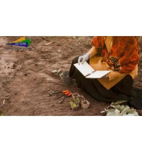 Understanding Soil Testing: The Foundation of Safe Construction