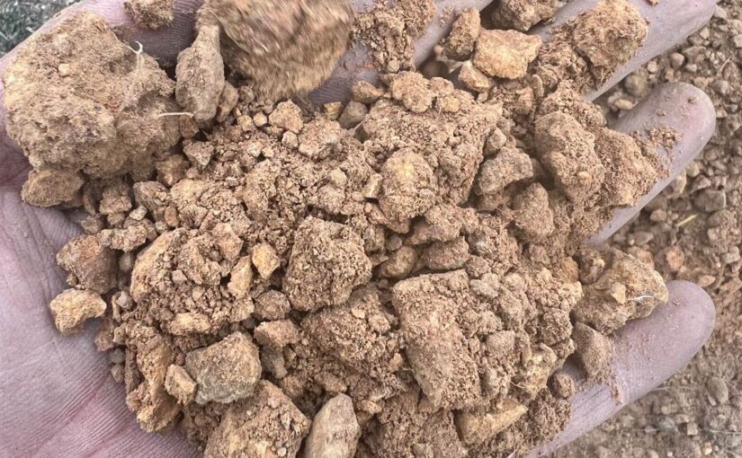 Best Soil Testing Service in Melbourne: What You Need to Know Before Building!